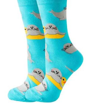 גרביים כלבי ים