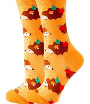 גרביים כתומים קיפודים