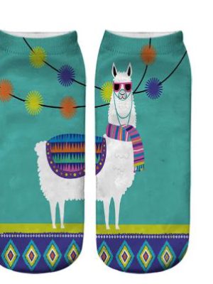 גרביים קצרות למה במסיבה